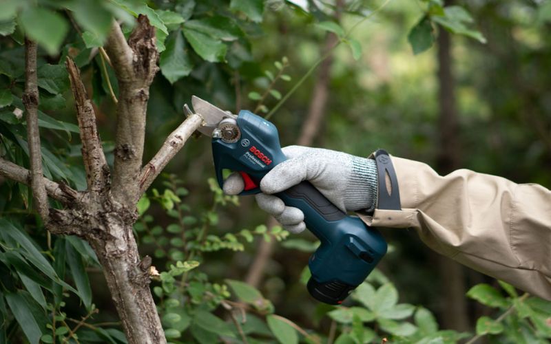 Máy cắt cành dùng pin Bosch Pro Pruner